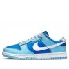Nike Dunk Low Retro QS 'Argon' 2022 DM0121-400