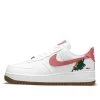 (WMNS) Nike Air Force 1 Low SE 'Catechu' CZ0269-101
